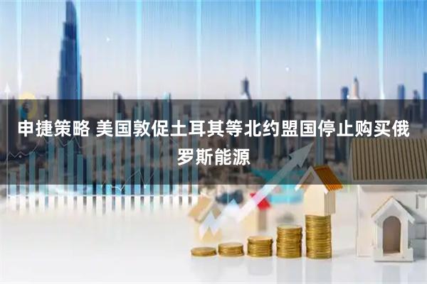 申捷策略 美国敦促土耳其等北约盟国停止购买俄罗斯能源