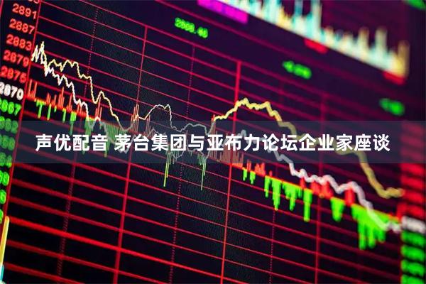声优配音 茅台集团与亚布力论坛企业家座谈