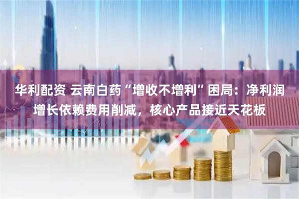 华利配资 云南白药“增收不增利”困局：净利润增长依赖费用削减，核心产品接近天花板
